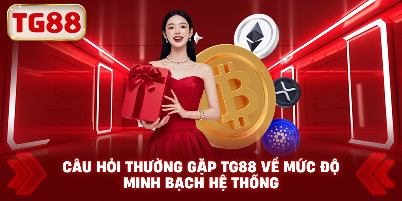 Câu Hỏi Thường Gặp TG88 Về Mức Độ Minh Bạch Hệ Thống