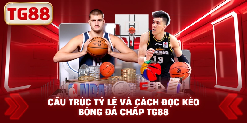 Cấu trúc tỷ lệ và cách đọc kèo bóng đá chấp TG88