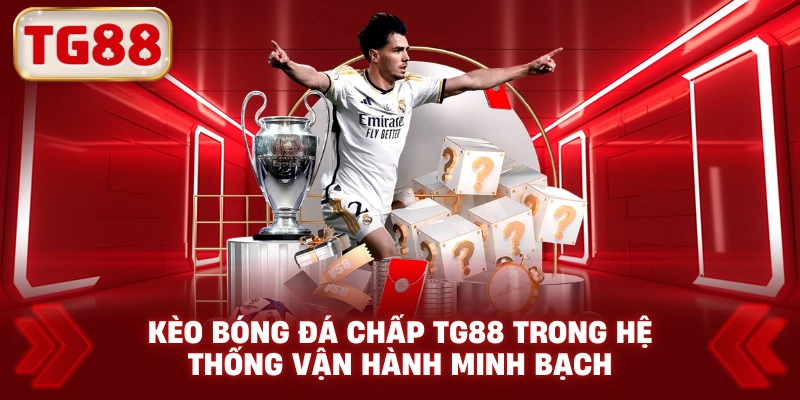 Kèo bóng đá chấp TG88 trong hệ thống vận hành minh bạch