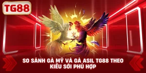 So Sánh Gà Mỹ Và Gà Asil TG88 Theo Kiểu Sới Phù Hợp