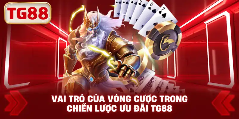 Vai trò của vòng cược trong chiến lược ưu đãi TG88