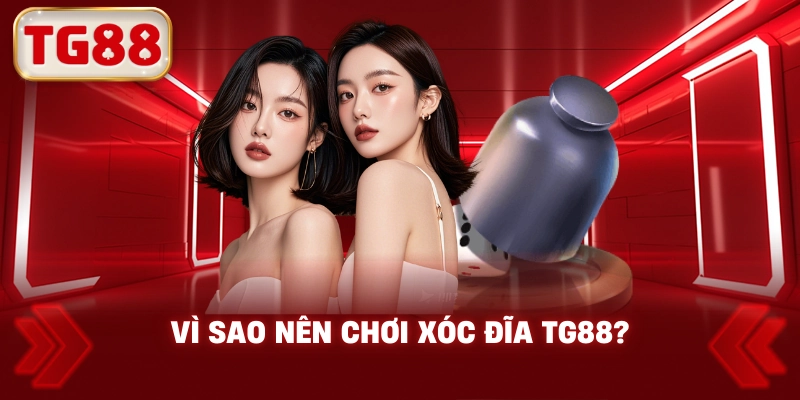 Vì Sao Nên Chơi Xóc Đĩa TG88?
