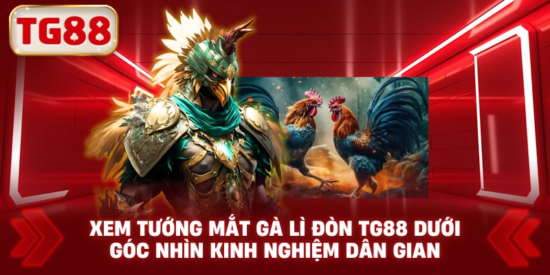 Xem Tướng Mắt Gà Lì Đòn TG88 Dưới Góc Nhìn Kinh Nghiệm Dân Gian